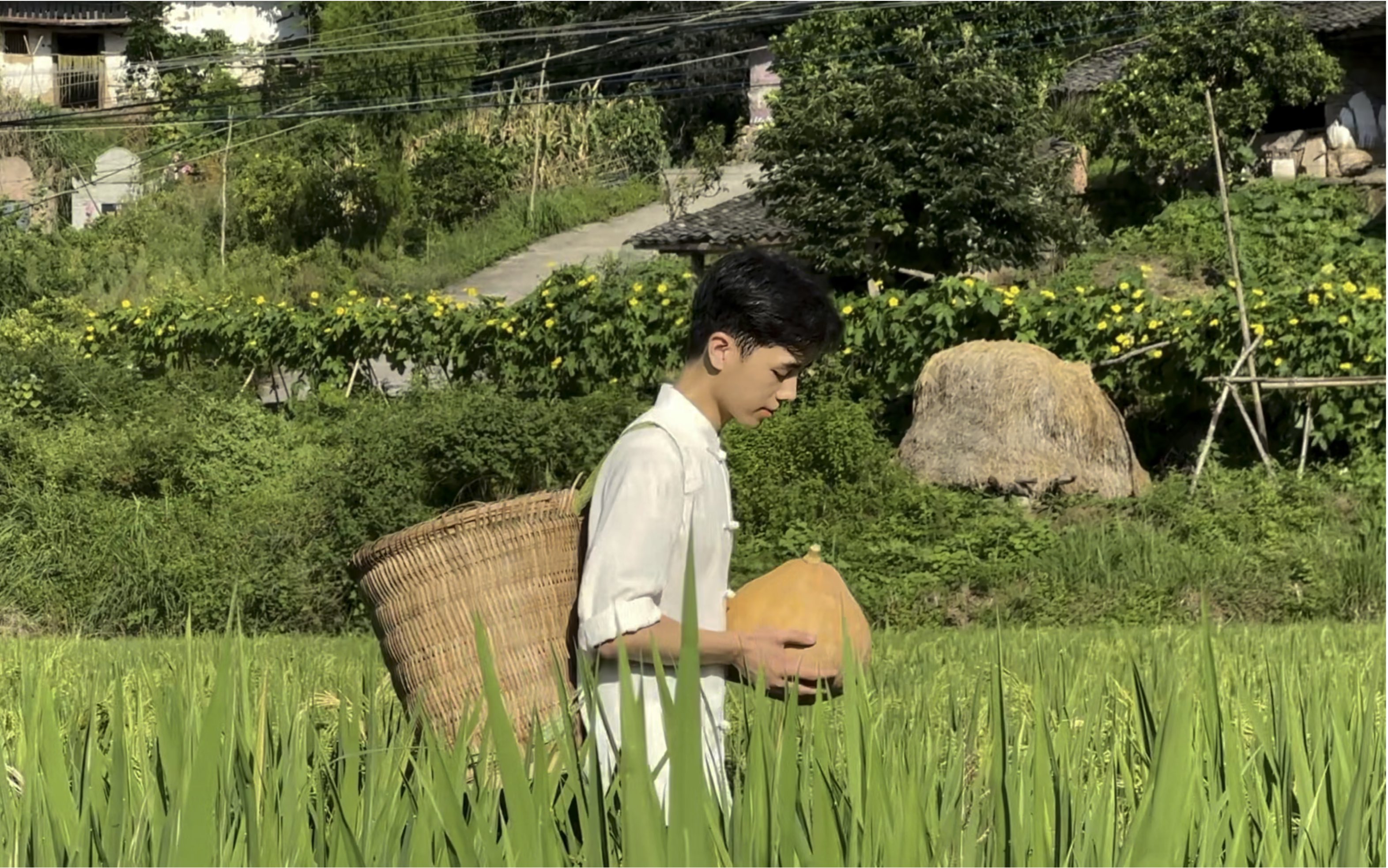 「“晃”瓜箜饭」必是四川人家夏日常吃的哔哩哔哩bilibili