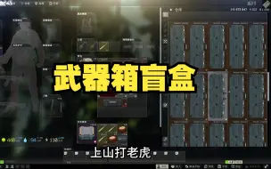 Download Video: 武器箱盲盒2