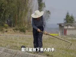 重生之回到山里，种田养鸡