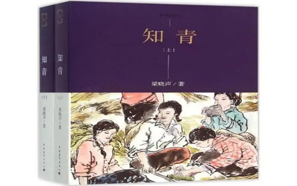 [图]有声书小说《知青》梁晓声作品-96-110