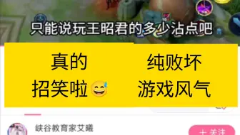 《只能说玩王昭君的多少沾点》