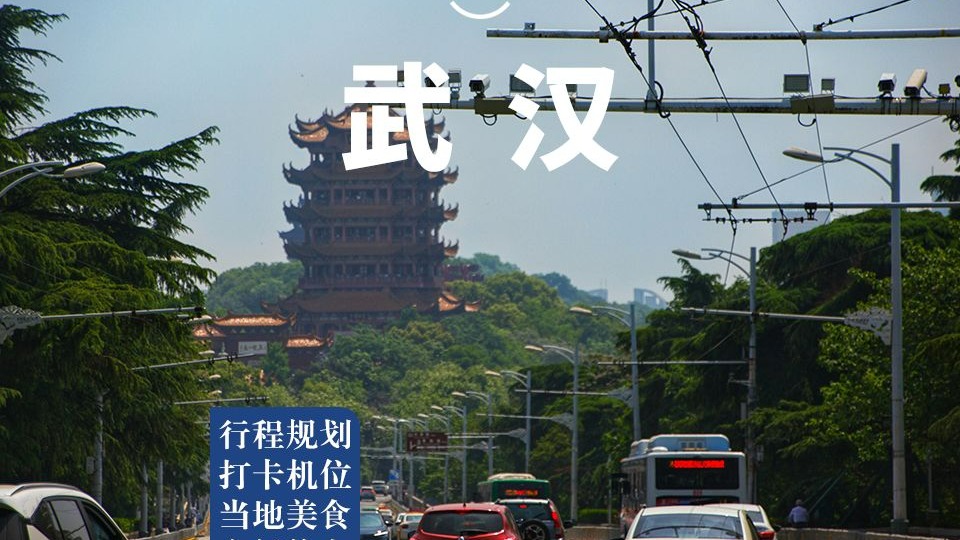 一条视频搞懂武汉!地铁线路+住宿+景点全攻略