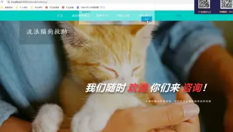 计算机毕业设计项目java毕设_B130 224-流浪猫狗救助网站(ssm)