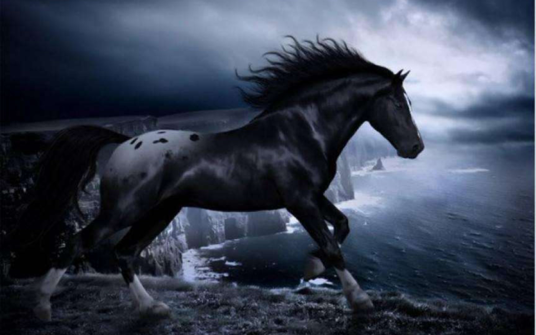 乾坤未定,你我皆是黑马