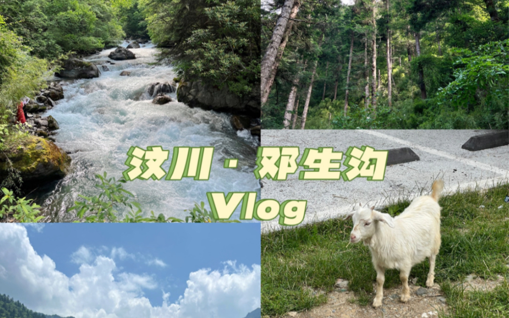 成都汶川邓生沟一日游Vlog哔哩哔哩bilibili