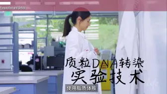 专业操作：质粒DNA转染实验
