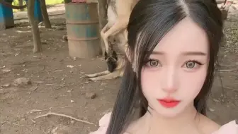 好狗，还会武魂融合技