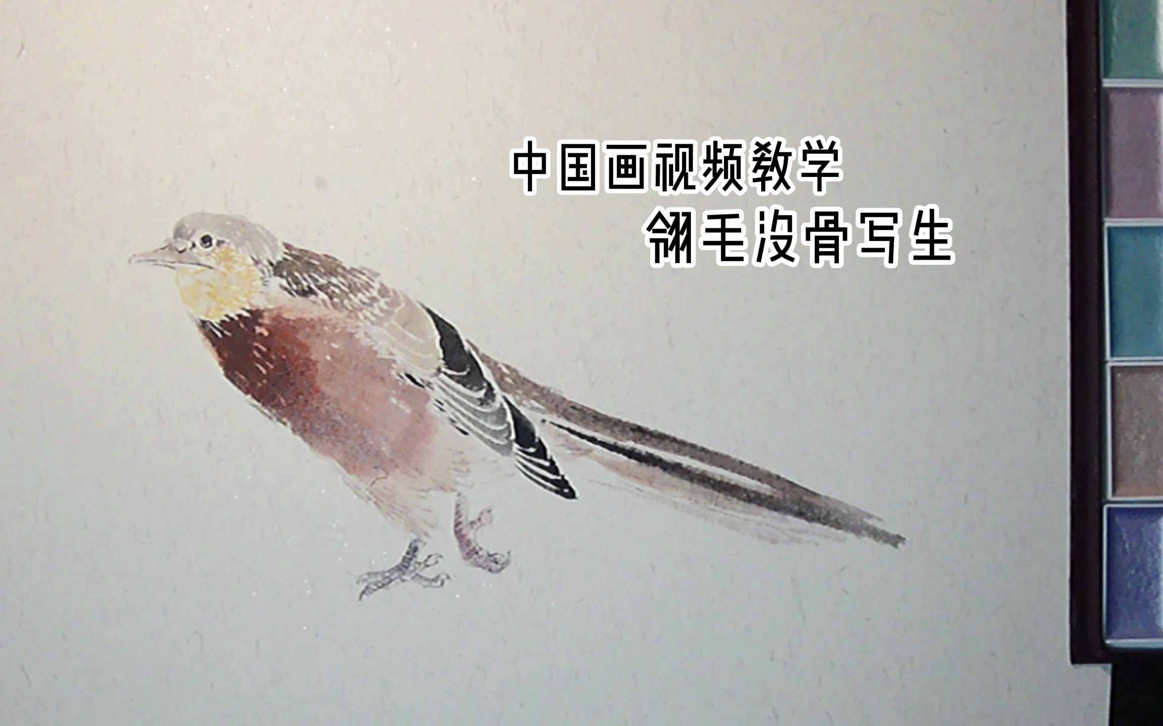 翎毛没骨写生【中国画视频教学/写意花鸟】哔哩哔哩bilibili