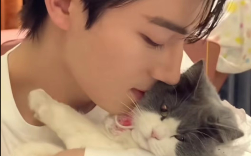 电视剧《五福临门》男主王星越饰演柴安 79 王星越抱小猫