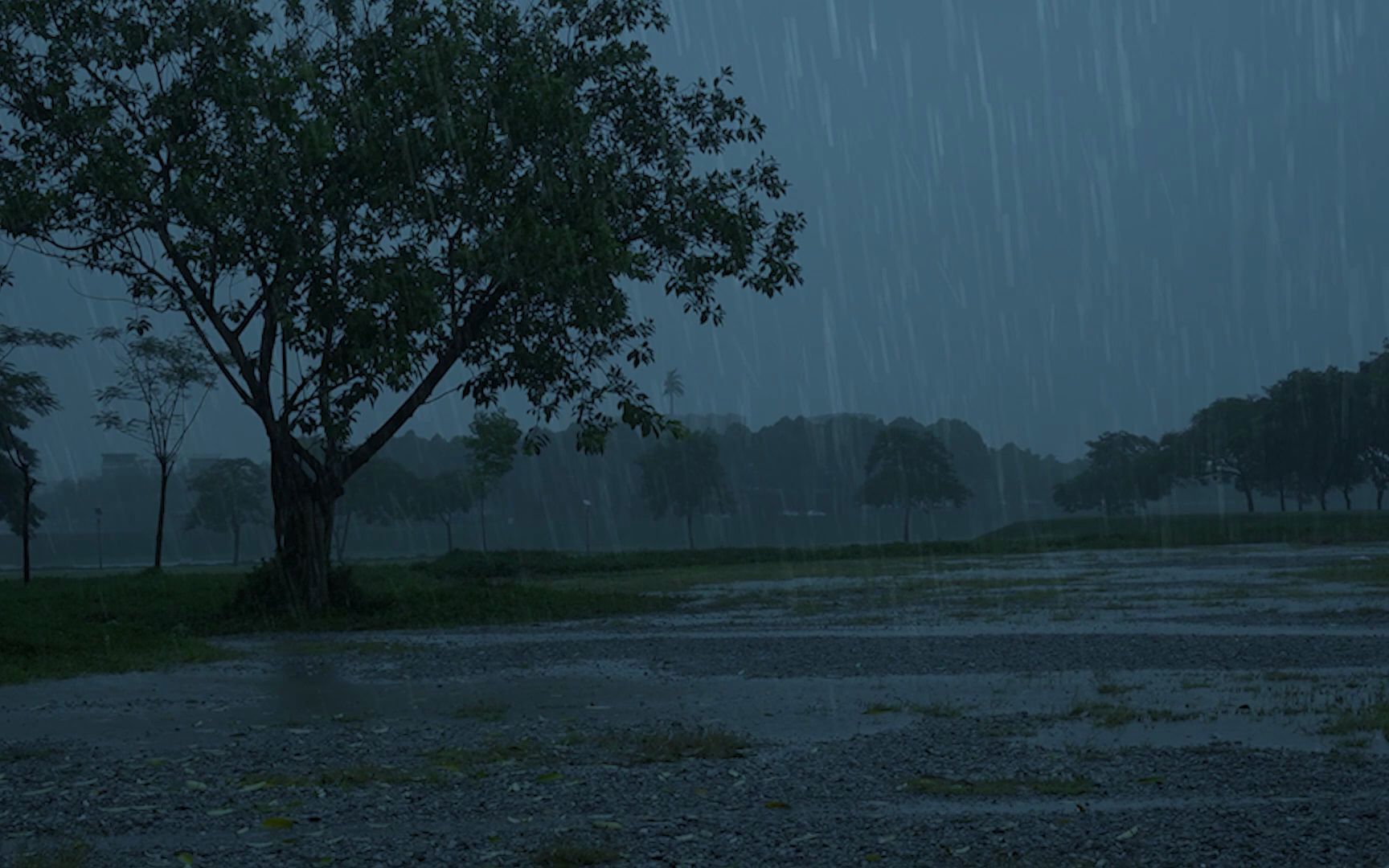 [图]在暴风雨天气中的暴雨和强大的雷声中轻松入睡 ｜真实的雨声