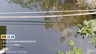 【2024.12.20】浙江省台州市温岭市