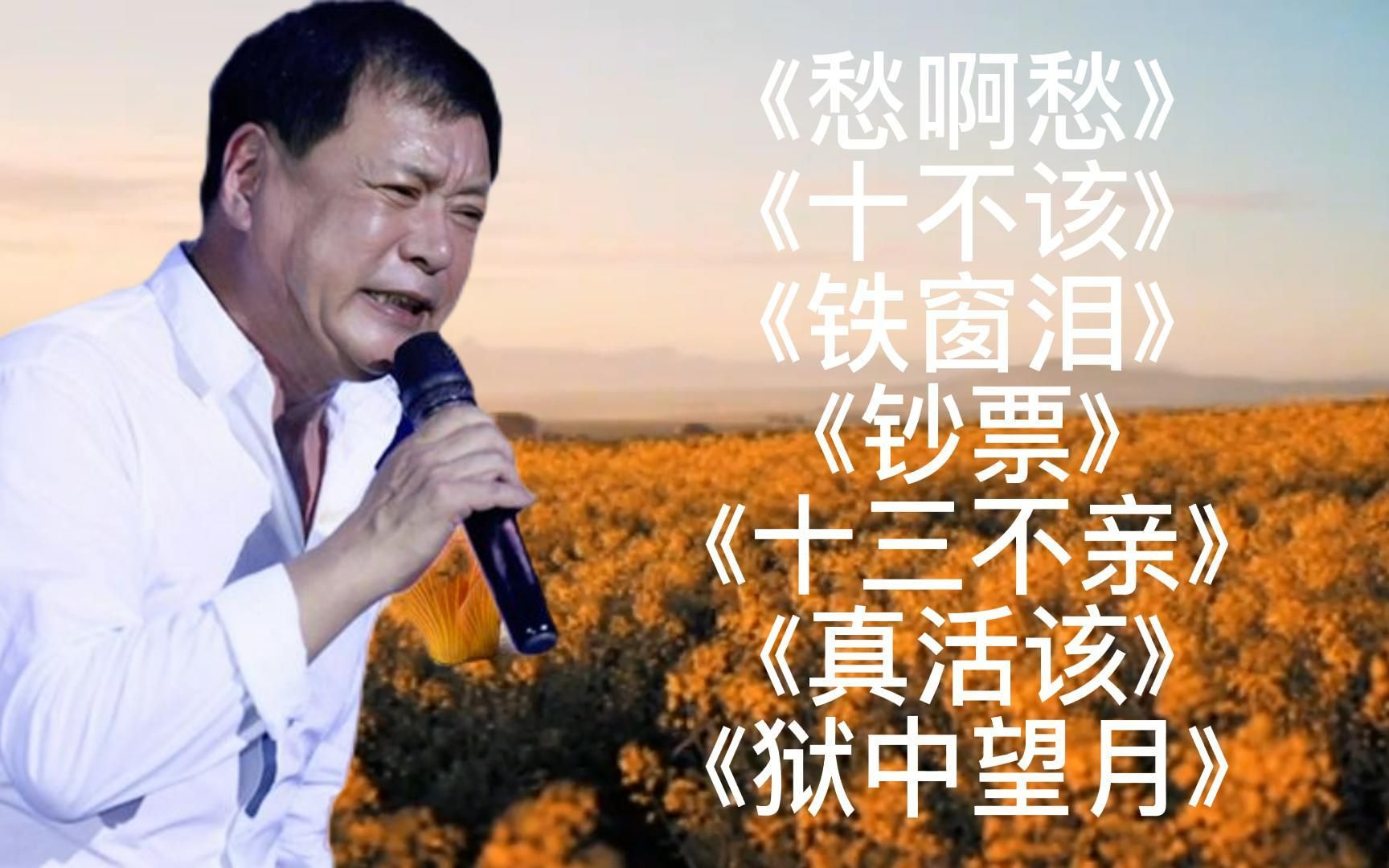 [图]经典歌曲《愁啊愁》《十不该》《铁窗泪》《钞票》《狱中望月》.mp4