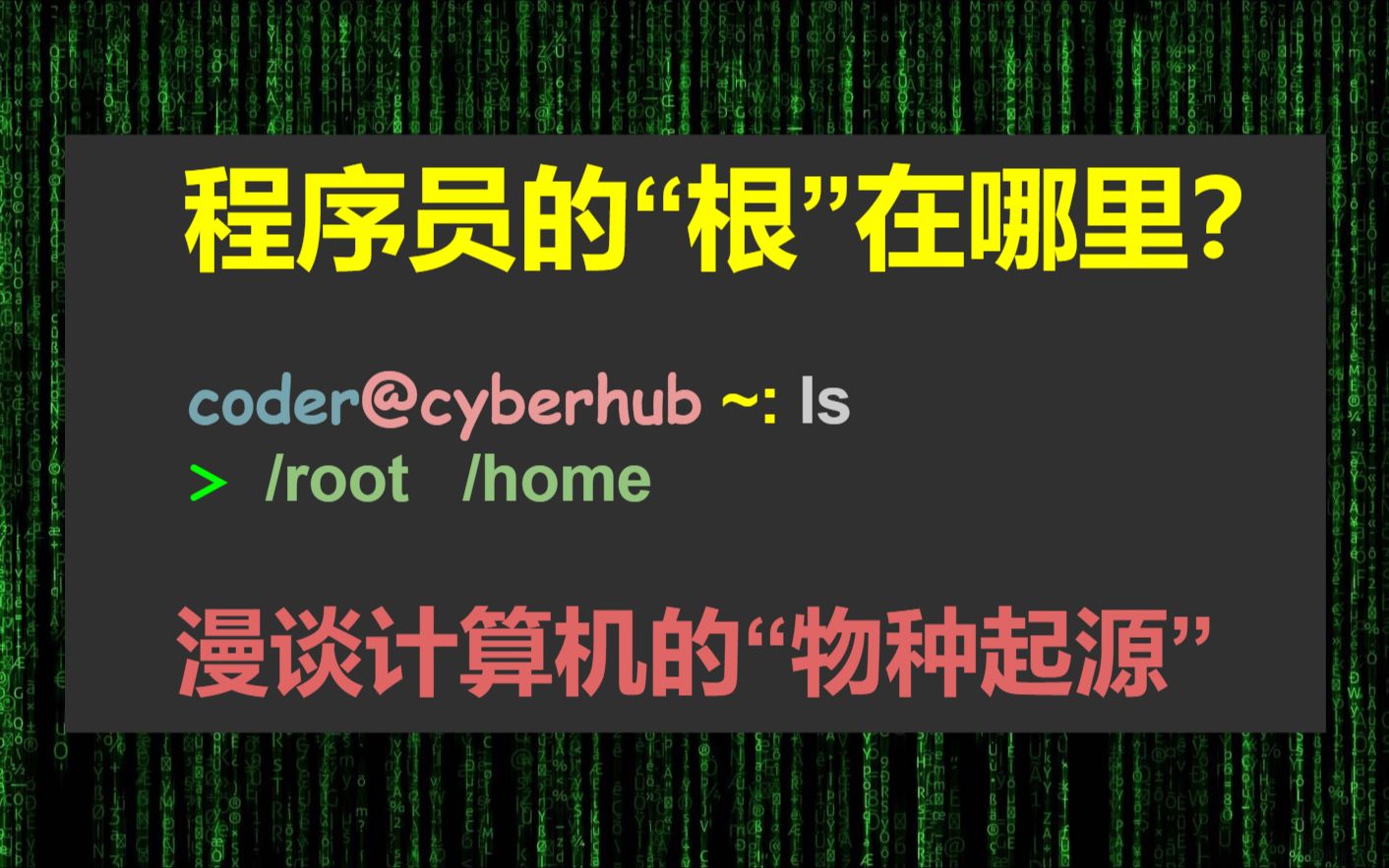 程序员的"根"在哪里?—— 未删减版哔哩哔哩bilibili