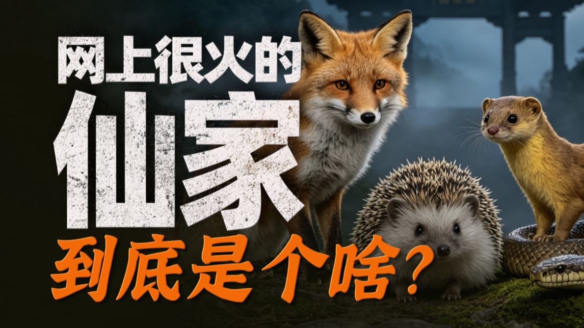 又是“出马”又是“大仙”的，中国的动物修炼到底咋回事？【风俗简史-动物仙-下】