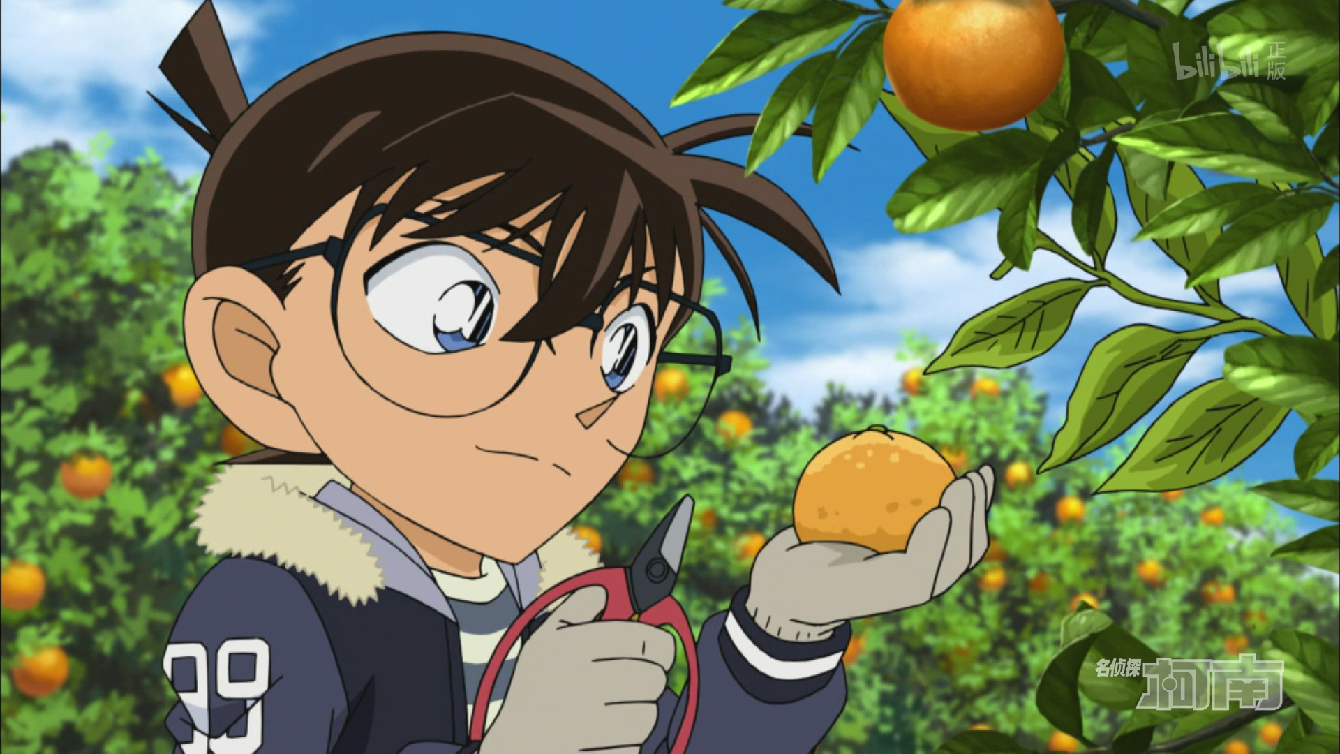 名侦探柯南第979话-番剧-高清正版在线观看-bilibili-哔哩哔哩