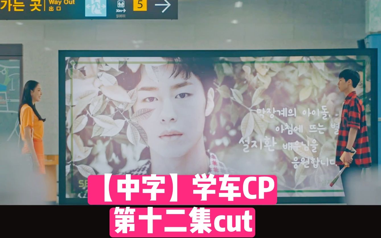 【WWW第十二集学车CP cut】为志焕应援❤车贤粉丝!牵手成功了吗?各种应援真的只是粉丝? 请输入搜索词/关键词WWW 李多喜 李宰旭哔哩哔哩bilibili