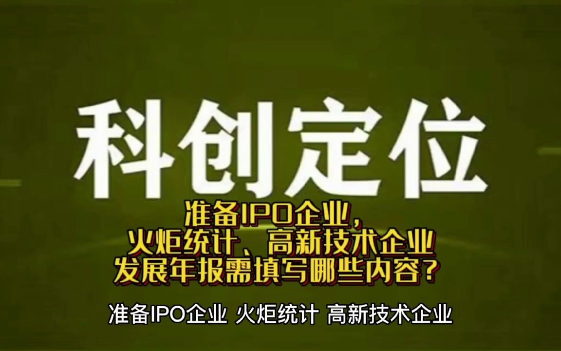 准备IPO企业,火炬统计、高新技术企业发展年报需填写哪些内容?哔哩哔哩bilibili