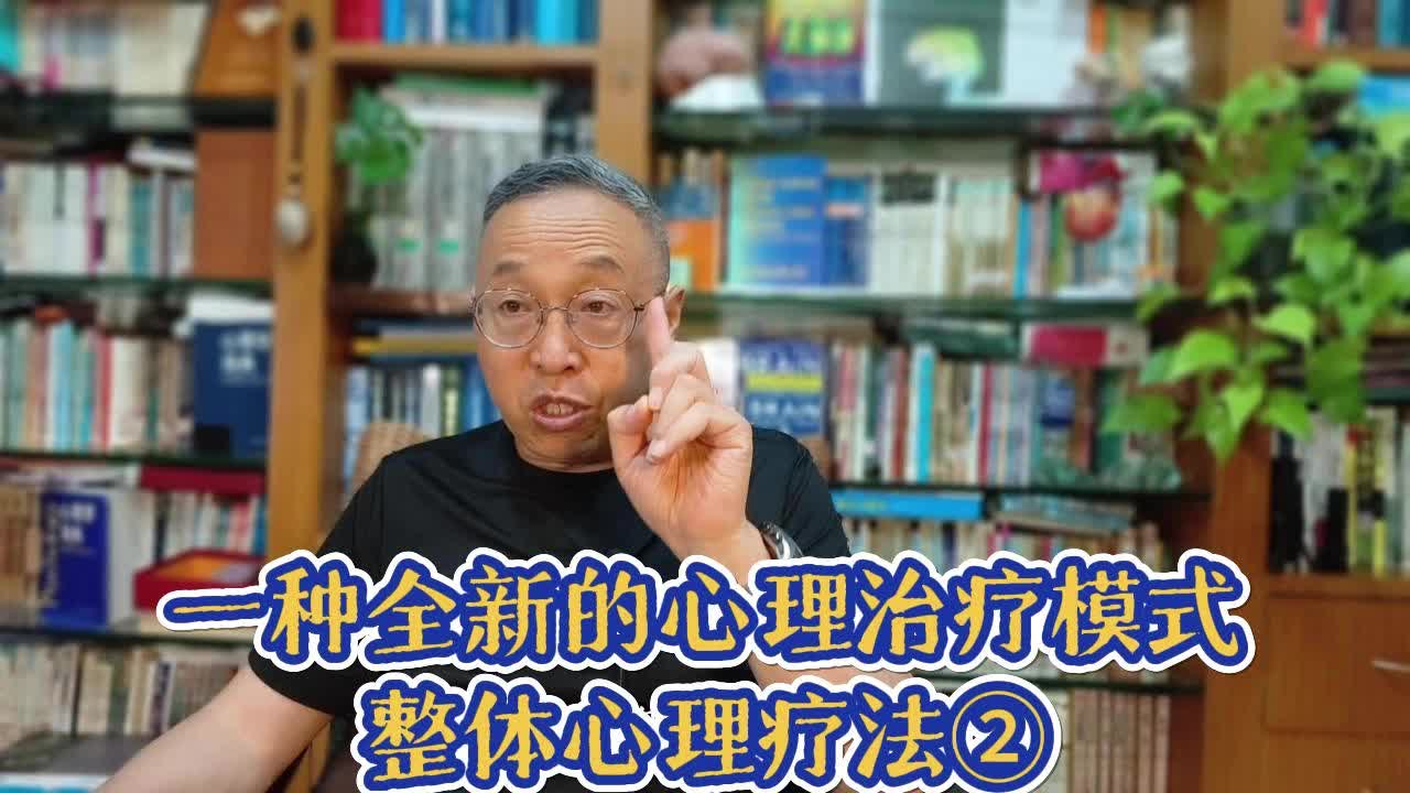 介绍一种全新的心理治疗模式——整体心理疗法2哔哩哔哩bilibili