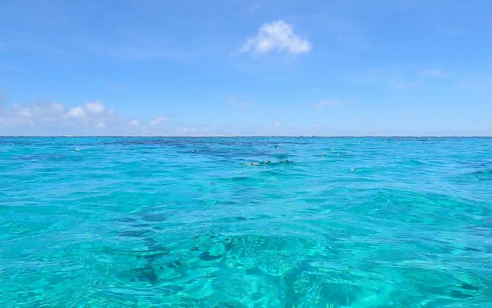 miyako blue 海天一色