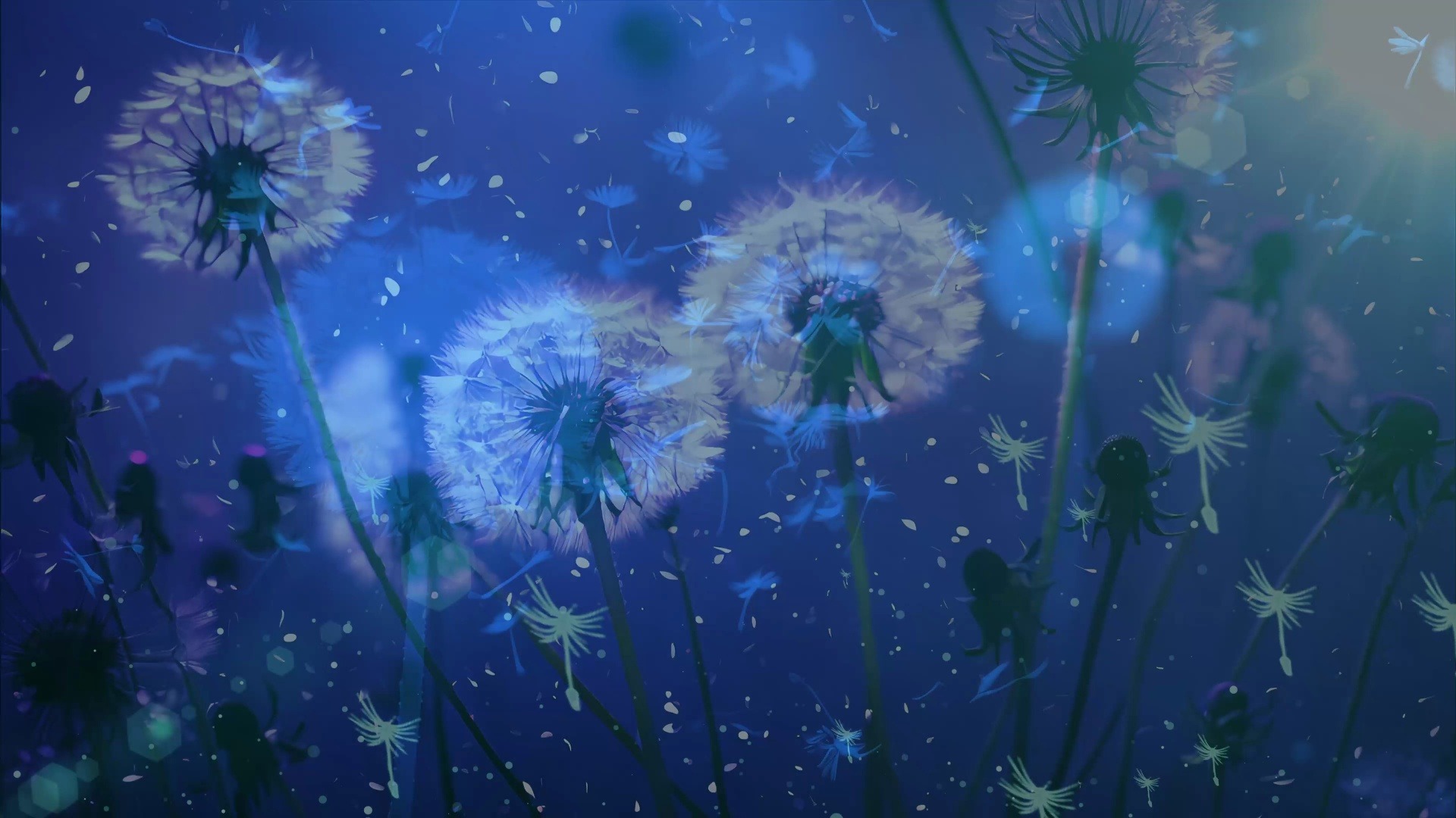 (r8k11)陈瑞藕断丝连配乐4k唯美背景led视频