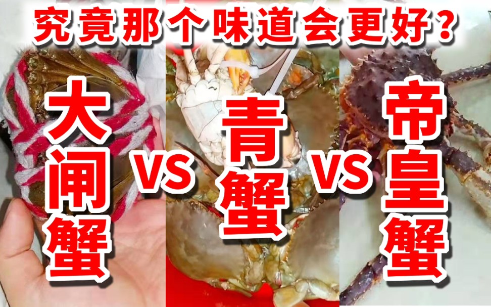 【螃蟹PK赛】小伙子横向对比 大闸蟹vs青蟹vs帝皇蟹 究竟那个味道会更好?哔哩哔哩bilibili