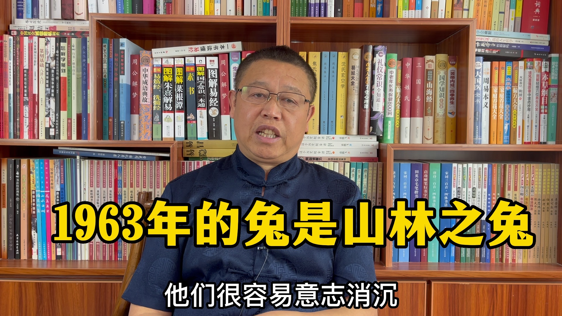 十二生肖运势详解,1963年出生的属兔人怎么样?1963年出生的属兔人是山林之兔哔哩哔哩bilibili