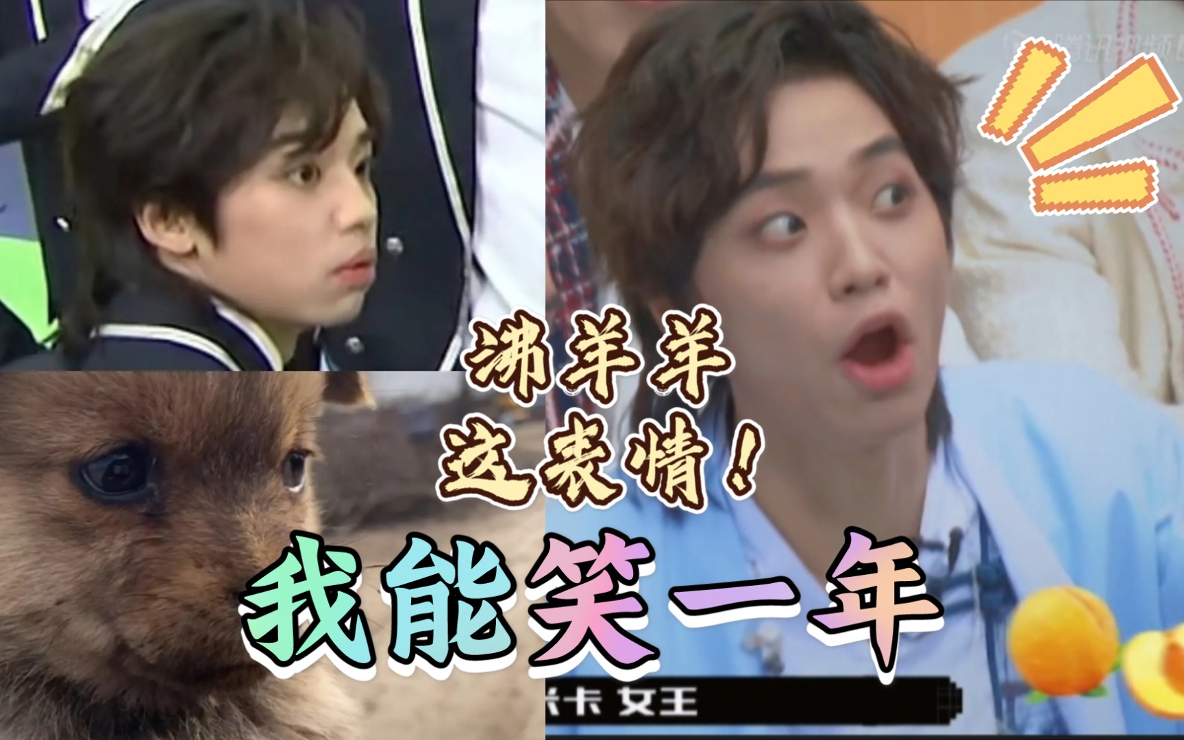 沸羊羊曾涵江太有毒了他真的好可爱