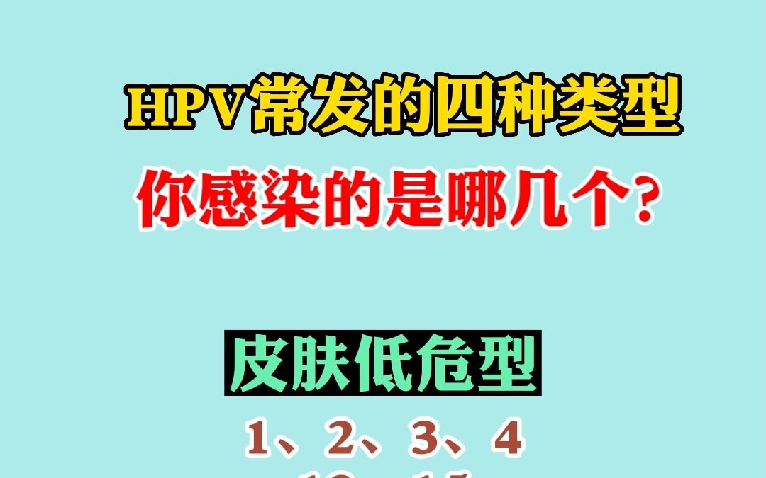 HPV常见的四种类型!哔哩哔哩bilibili