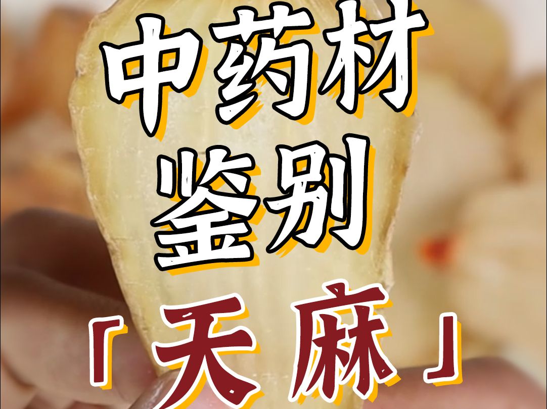 天麻好坏鉴别哔哩哔哩bilibili