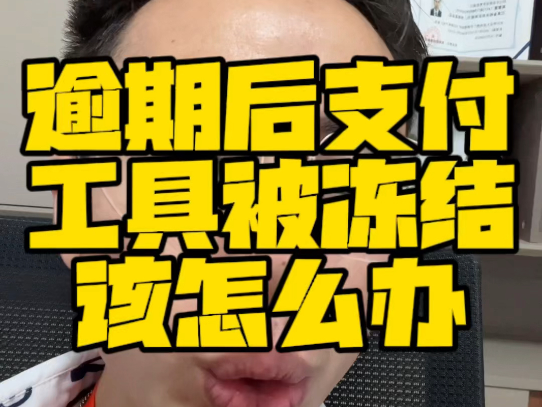 “债务纠纷?如何证明自己的经济状况?”逾期后支付工具被冻结该怎么办?哔哩哔哩bilibili