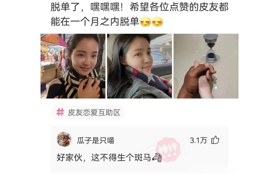 网络趣图合集38哔哩哔哩bilibili