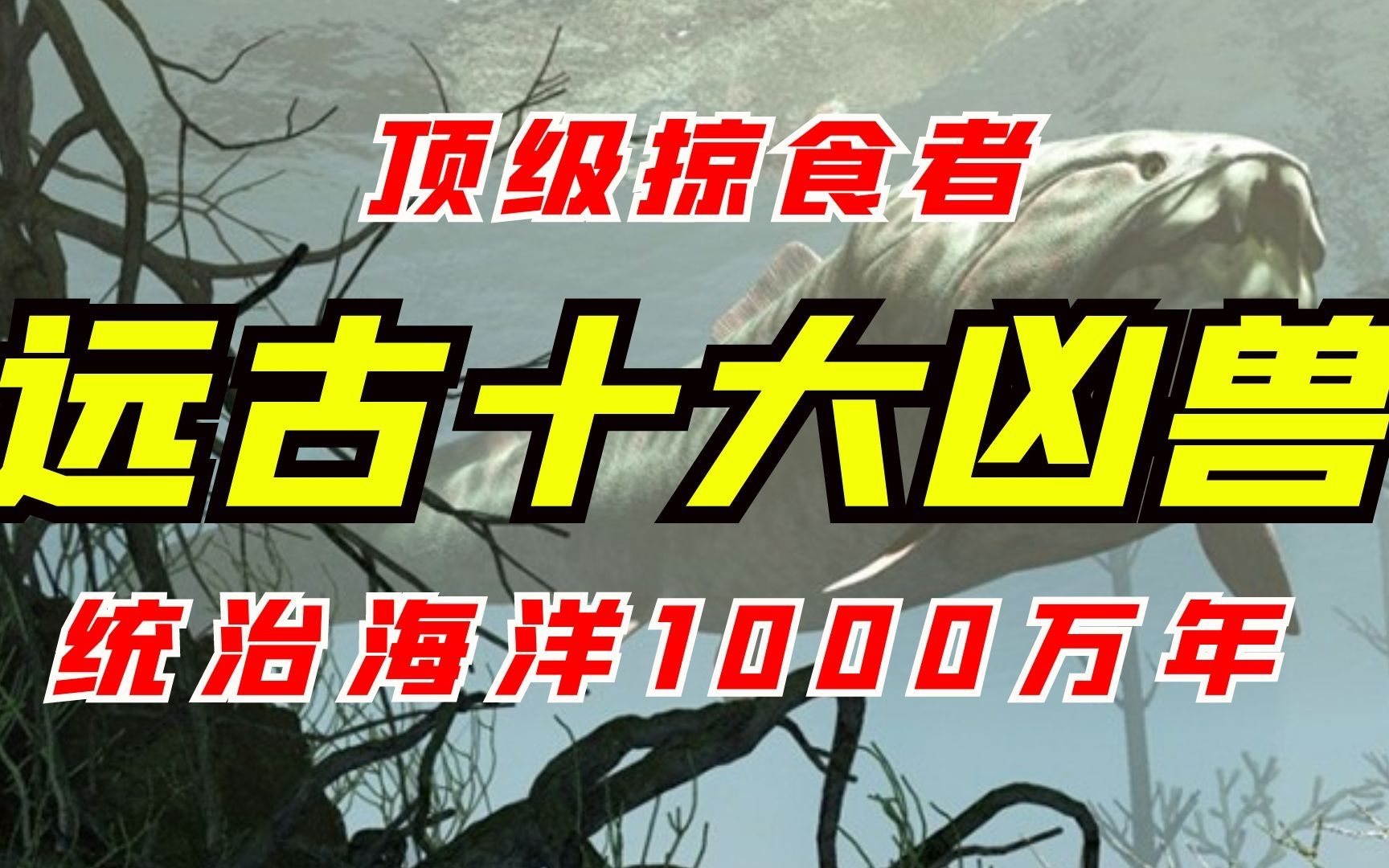 远古时期最凶猛的十大巨兽:顶级掠食者,统治海洋1000万年!哔哩哔哩bilibili