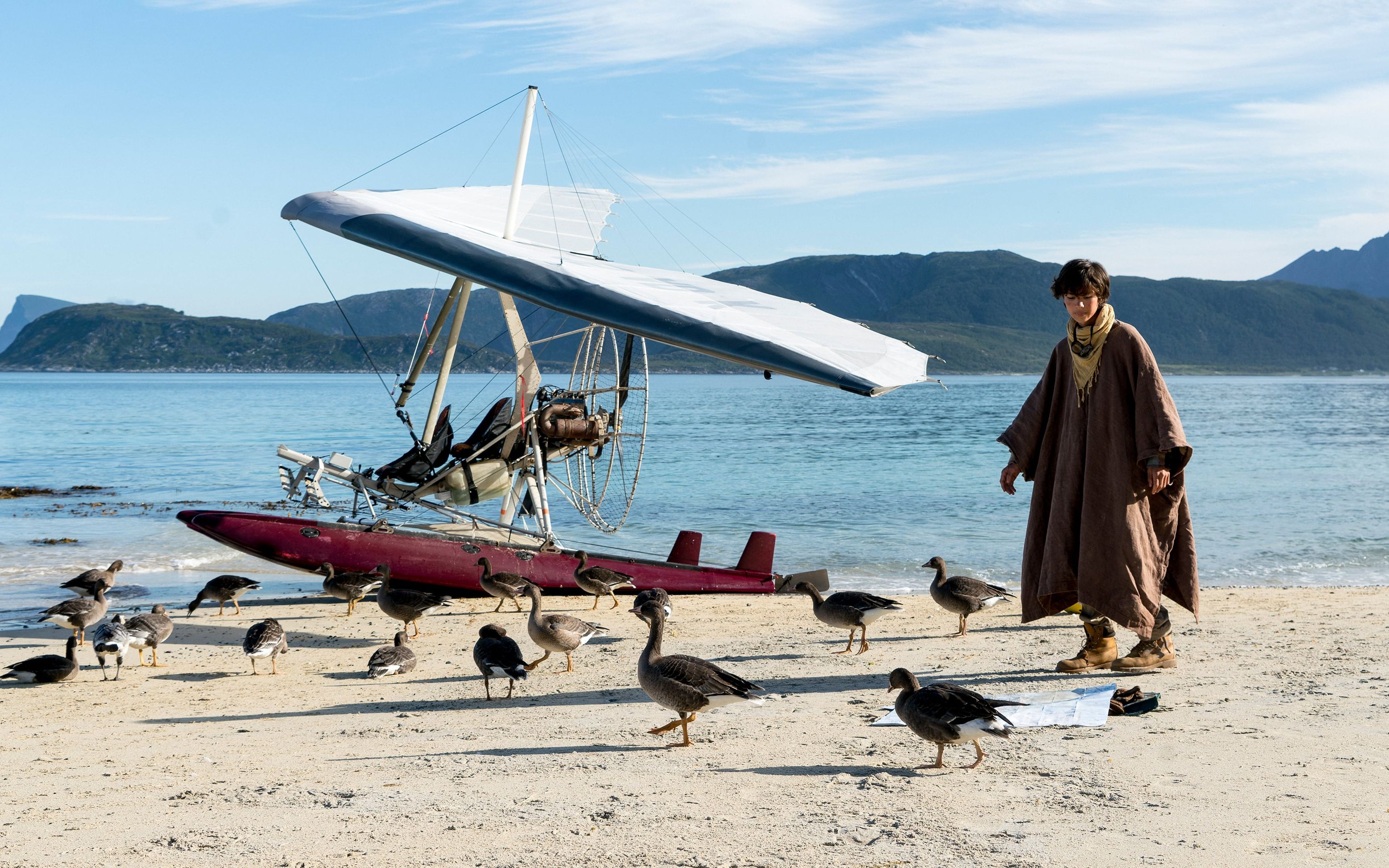 少年驾驶飞机引领野雁迁徙,法国高分电影《给我翅膀》