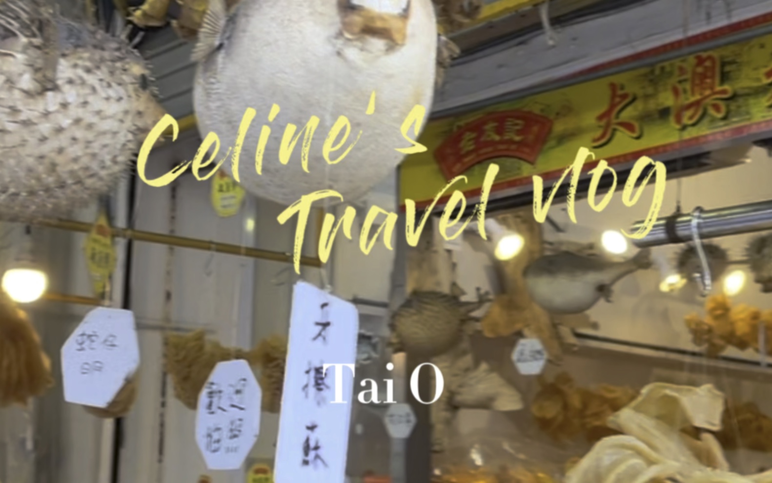 [图]不一样的香港-香港渔村vlog