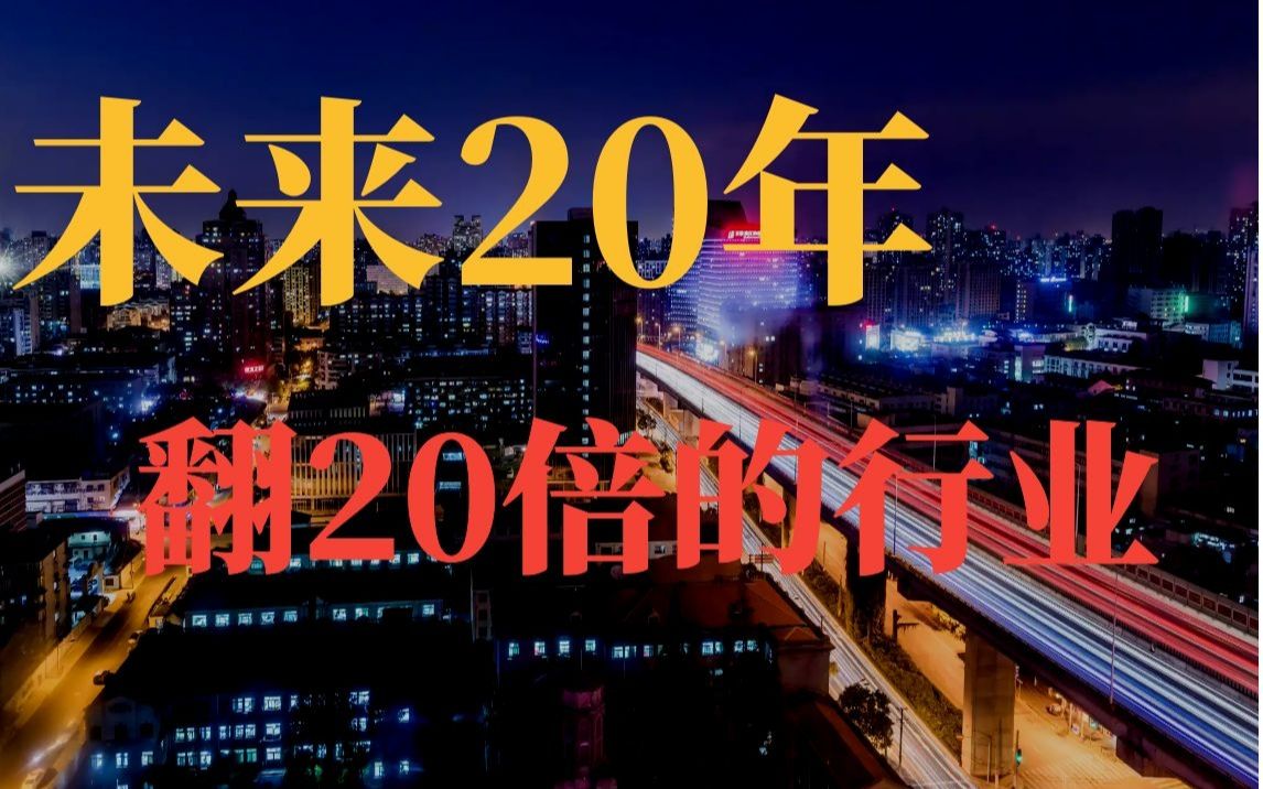 未来20年翻20倍的行业 各大明星基金经理重点关注 高瓴资本频频出手买入【基金经理 张坤 刘彦春 葛兰 朱少醒 曲扬 谢治宇 董承非】巴菲特价值投资哔哩哔...