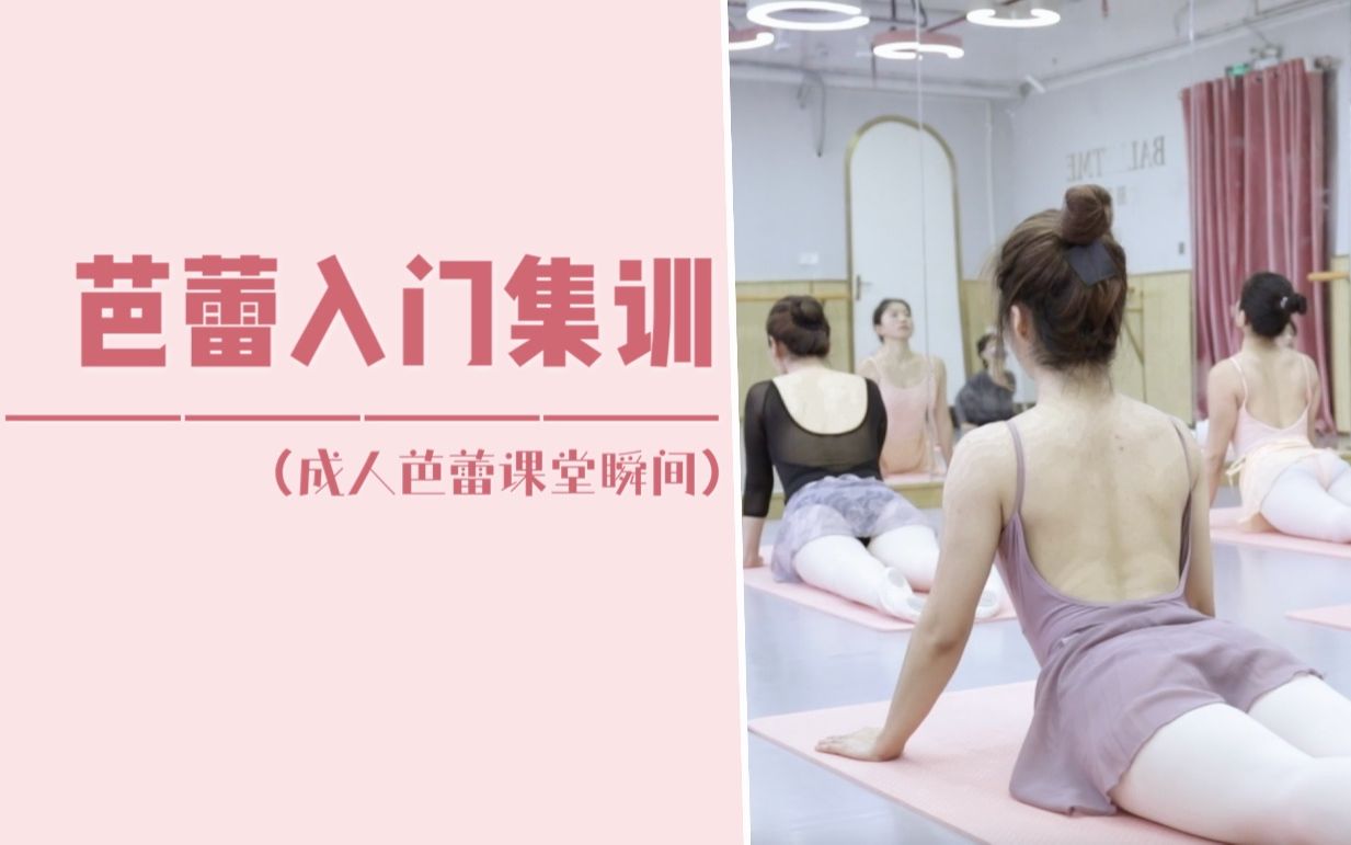 【BALLETME】芭蕾入门集训 | 欢迎大家来到芭蕾世界~哔哩哔哩bilibili