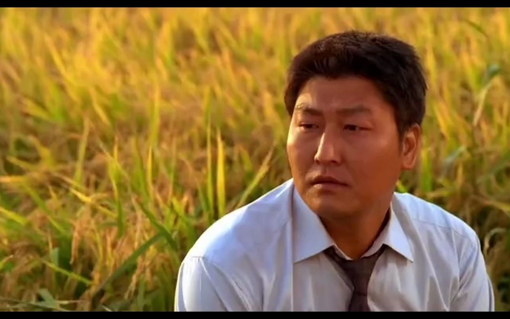 天才导演奉俊昊作品--四组英语作业