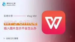 Download Video: wps插入图片显示不全怎么办