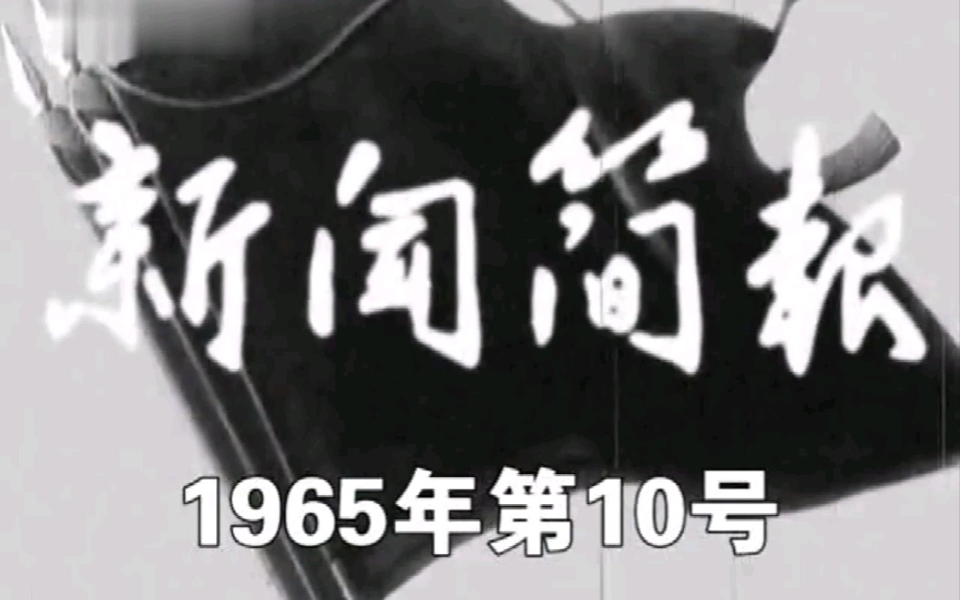 [图]新闻简报1965年第10号