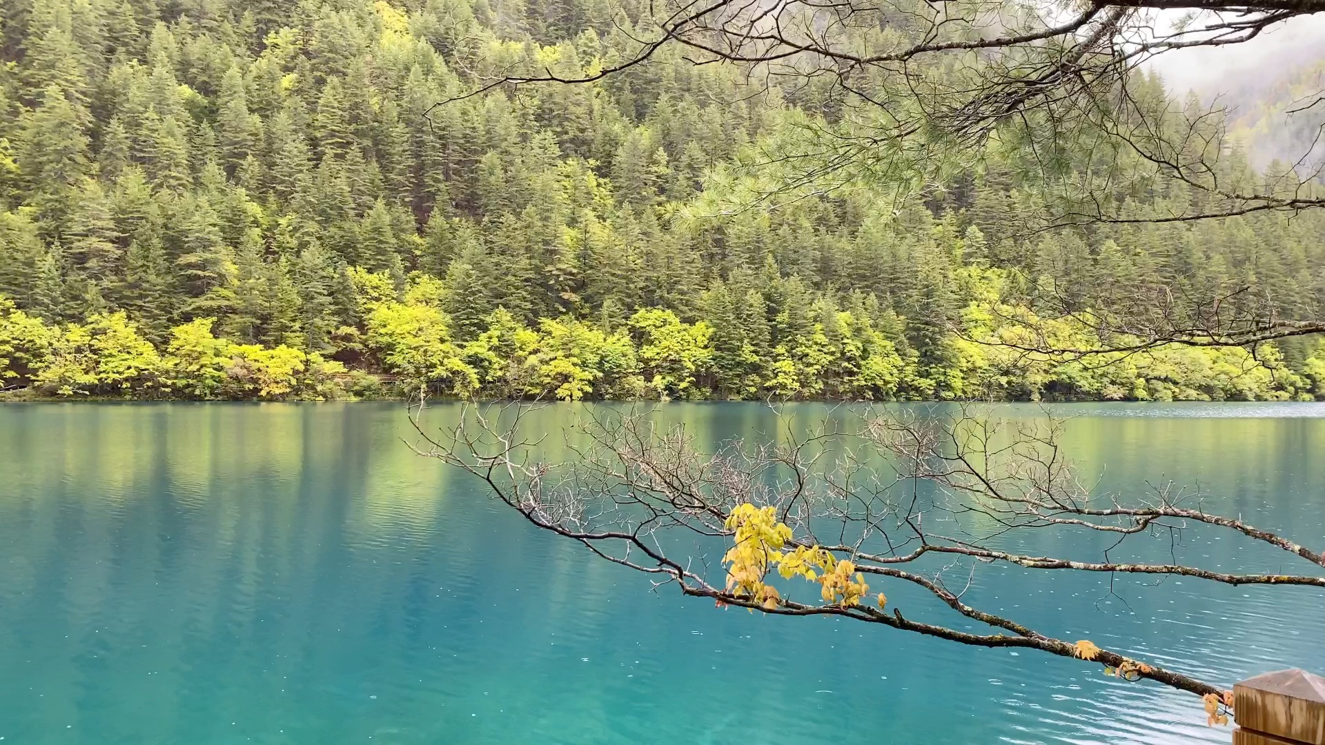 九寨沟风景