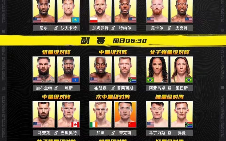 UFC285冠军赛直播:乔恩琼斯VS里尔盖恩直播(中文)在线观看比赛哔哩哔哩bilibili