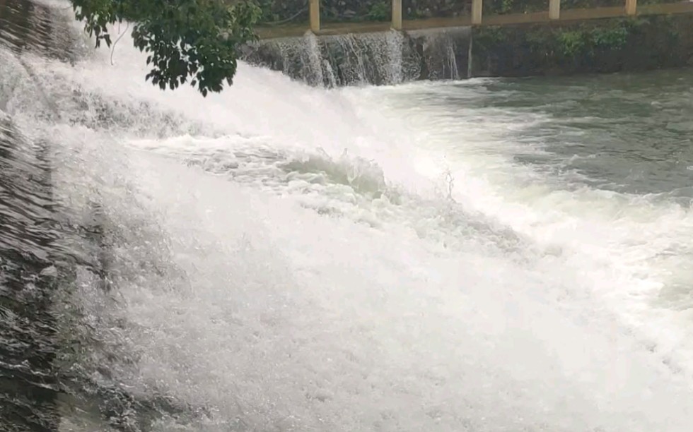 [图]这TM才叫『水视频』!