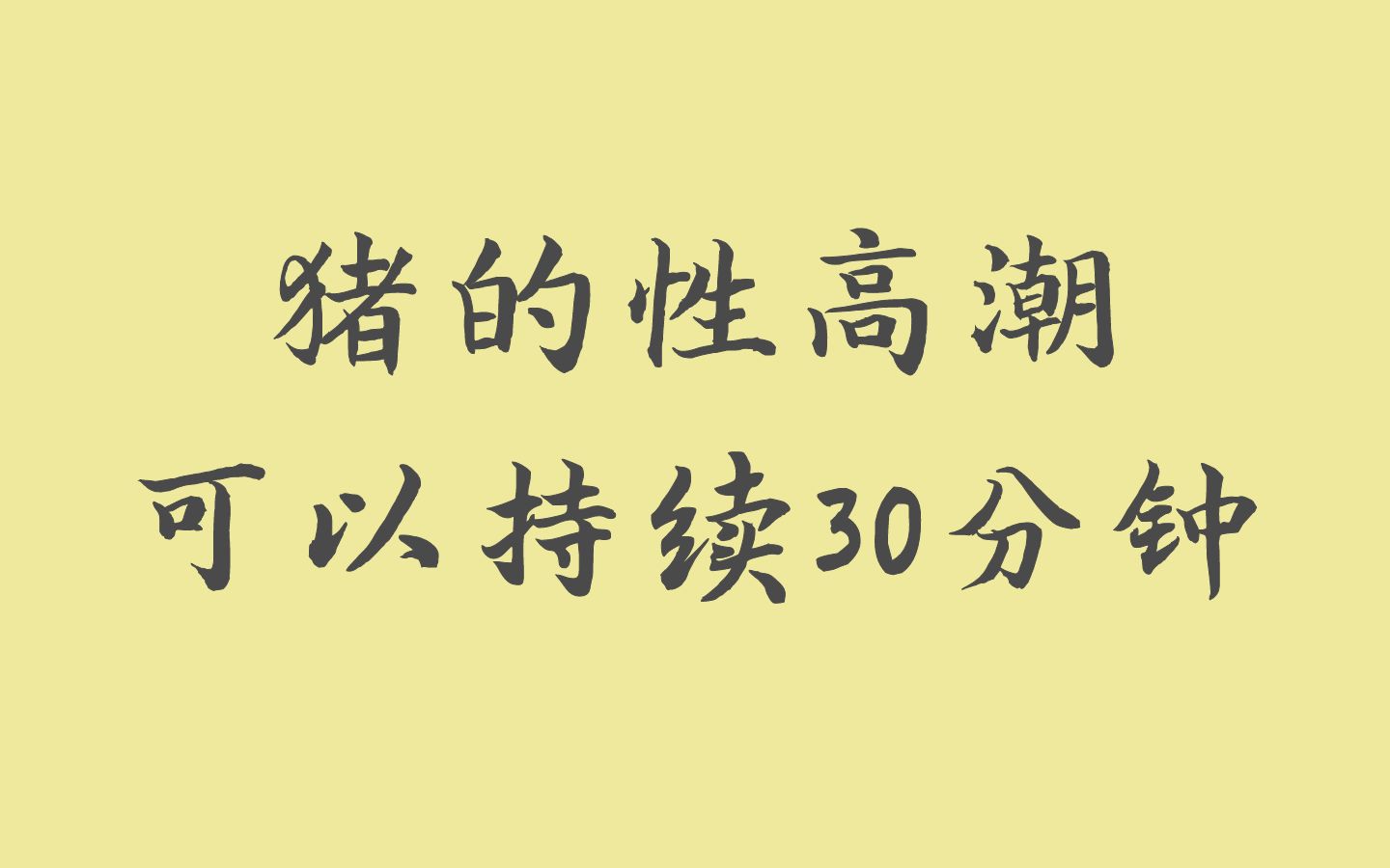 猪的性高潮可以持续30分钟哔哩哔哩bilibili