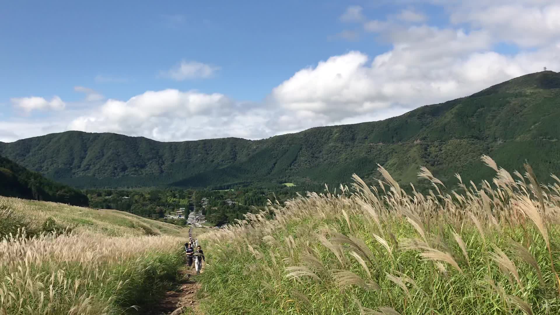 2017年10月 日本 箱根 仙石原 芒草草原