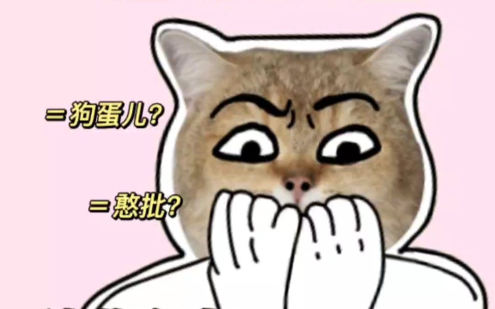 猫咪取名禁忌,千万别用这些名字哔哩哔哩bilibili