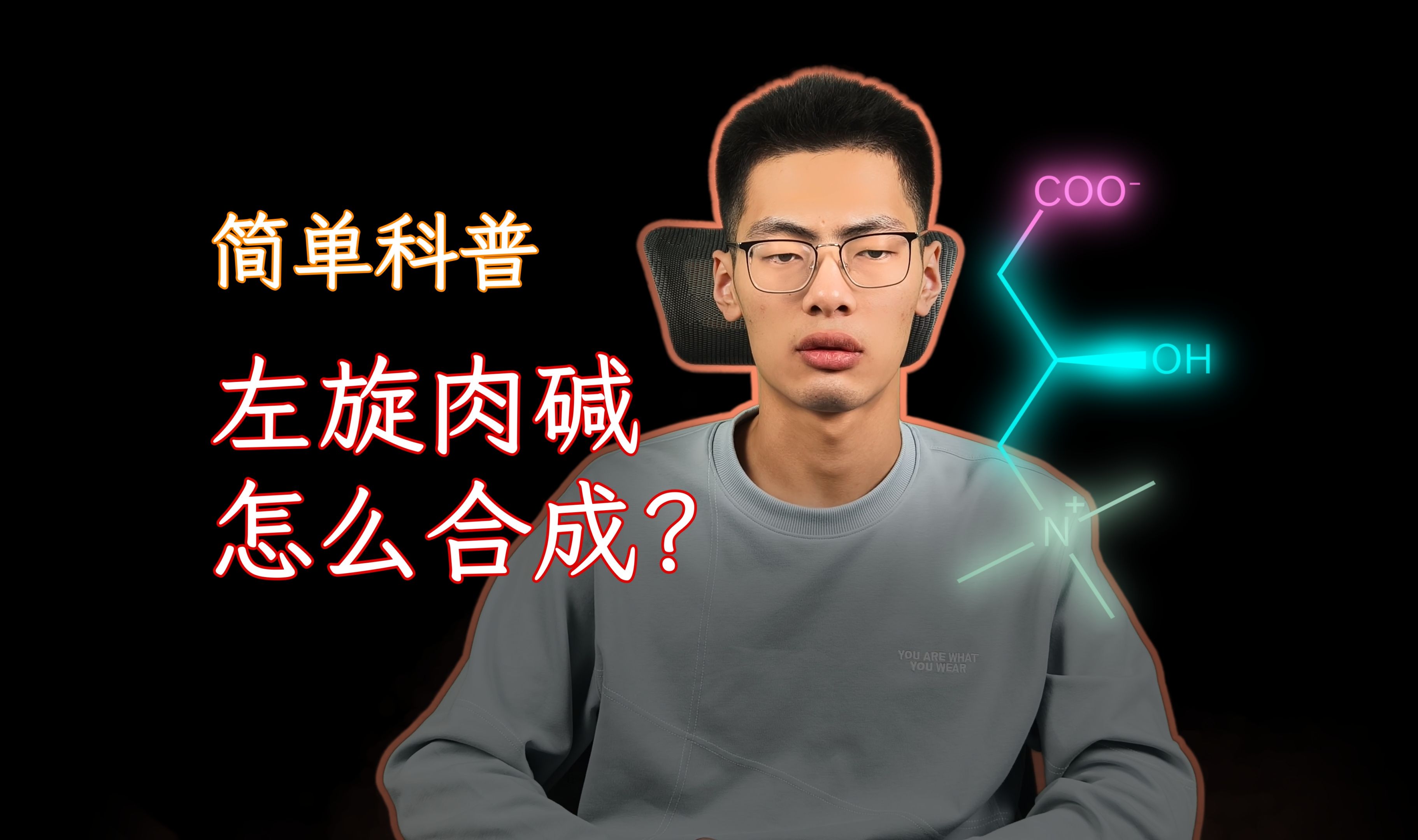 【化学科普】左旋肉碱如何合成?哔哩哔哩bilibili