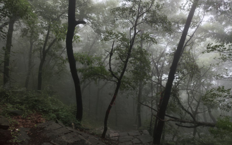 曲阜九仙山风景区,雨中登山的意境哔哩哔哩bilibili