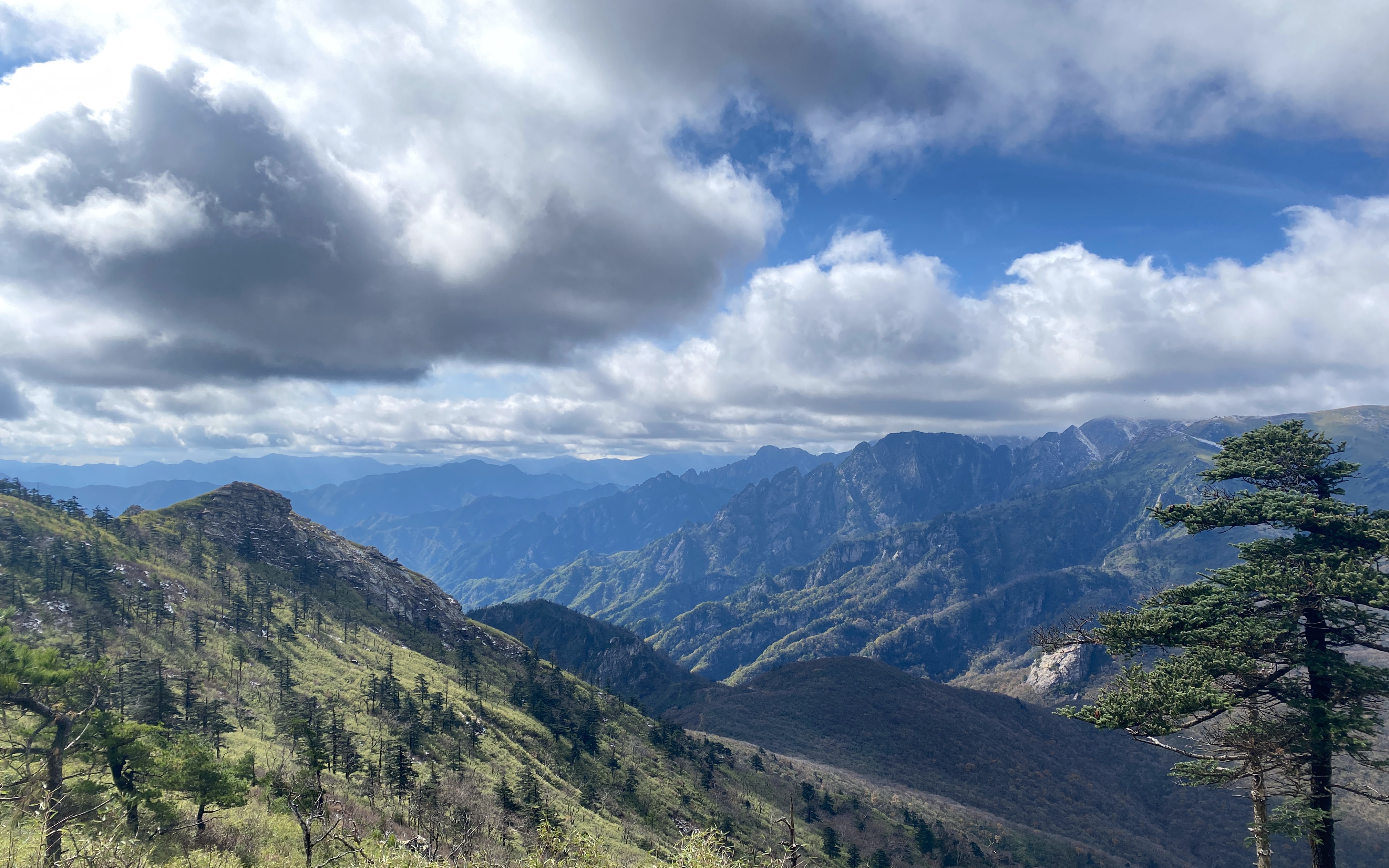 秋冬秦岭"鹿角梁"