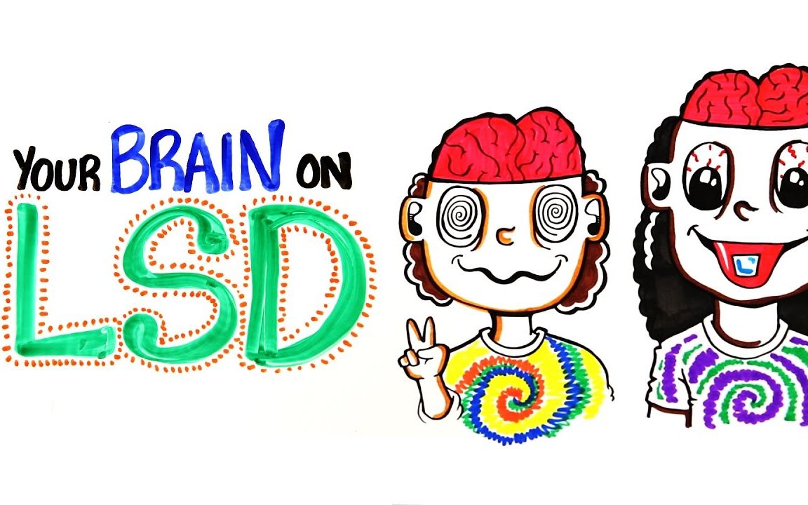 从了解LSD开始哔哩哔哩bilibili