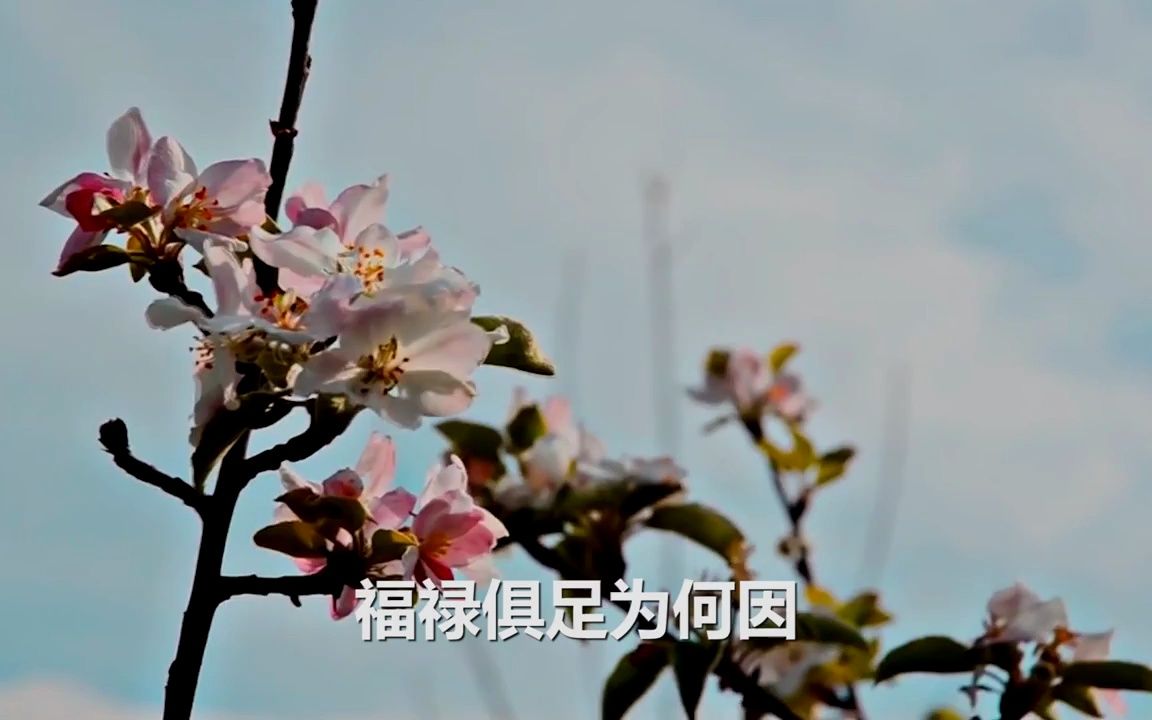 三世因果文 (演甫居士)哔哩哔哩bilibili